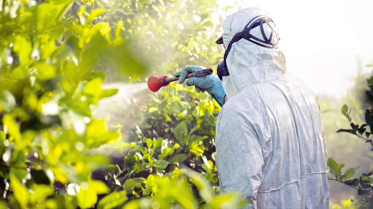 Immunity from Cancer-Causing Chemicals: What You Need to Know (And Do) Now